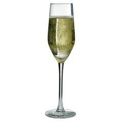 Deluxe Champagne Flute x 49 Hire