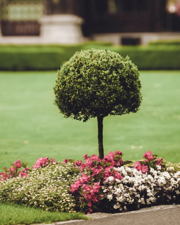 A DIY Garden Refresh: What to Rent for a Weekend Makeover